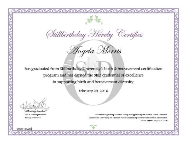 Stillbirthday Birth and Bereavement Doula Certificate re-issued 02/29/2016, #58020110428 (Stillbirthday)