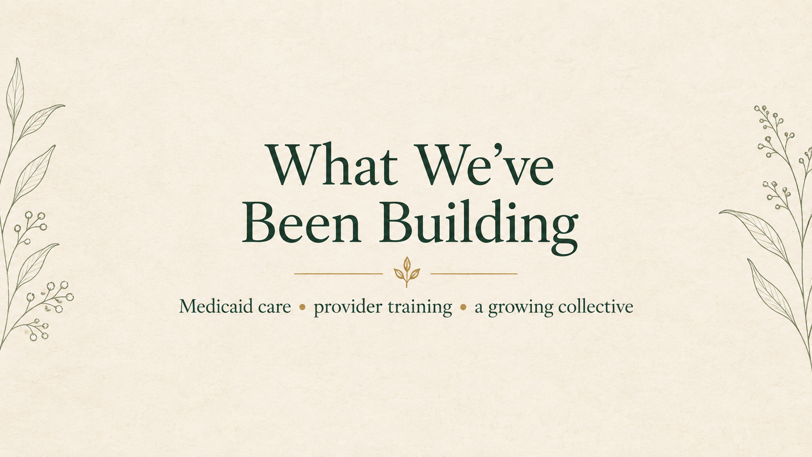 What We’ve Been Building: Medicaid care, provider training, and a growing collective